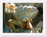 At_the _zoo (16) * 2048 x 1536 * (1.5MB)